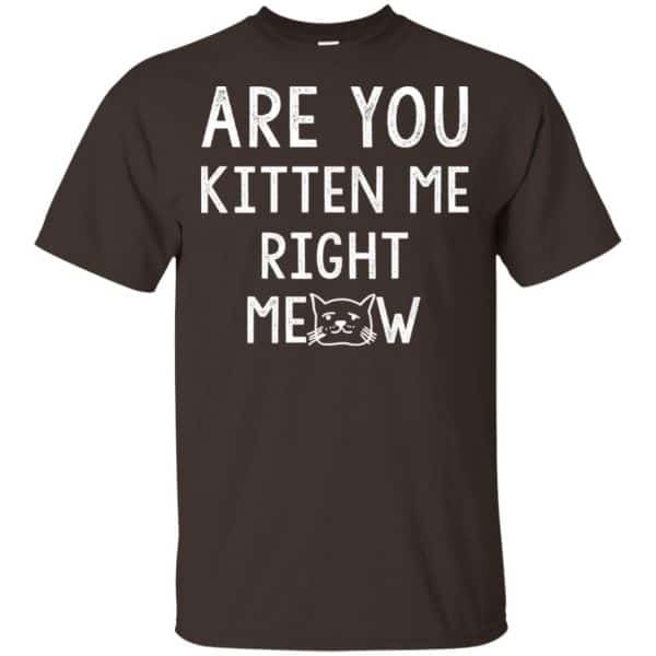 Are You Kitten Me Right Meow Shirt, Hoodie, Tank | 0sTees