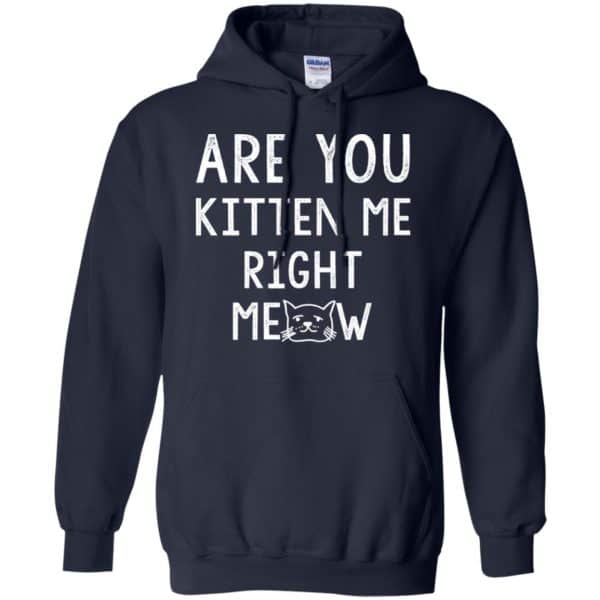Are You Kitten Me Right Meow Shirt, Hoodie, Tank | 0sTees